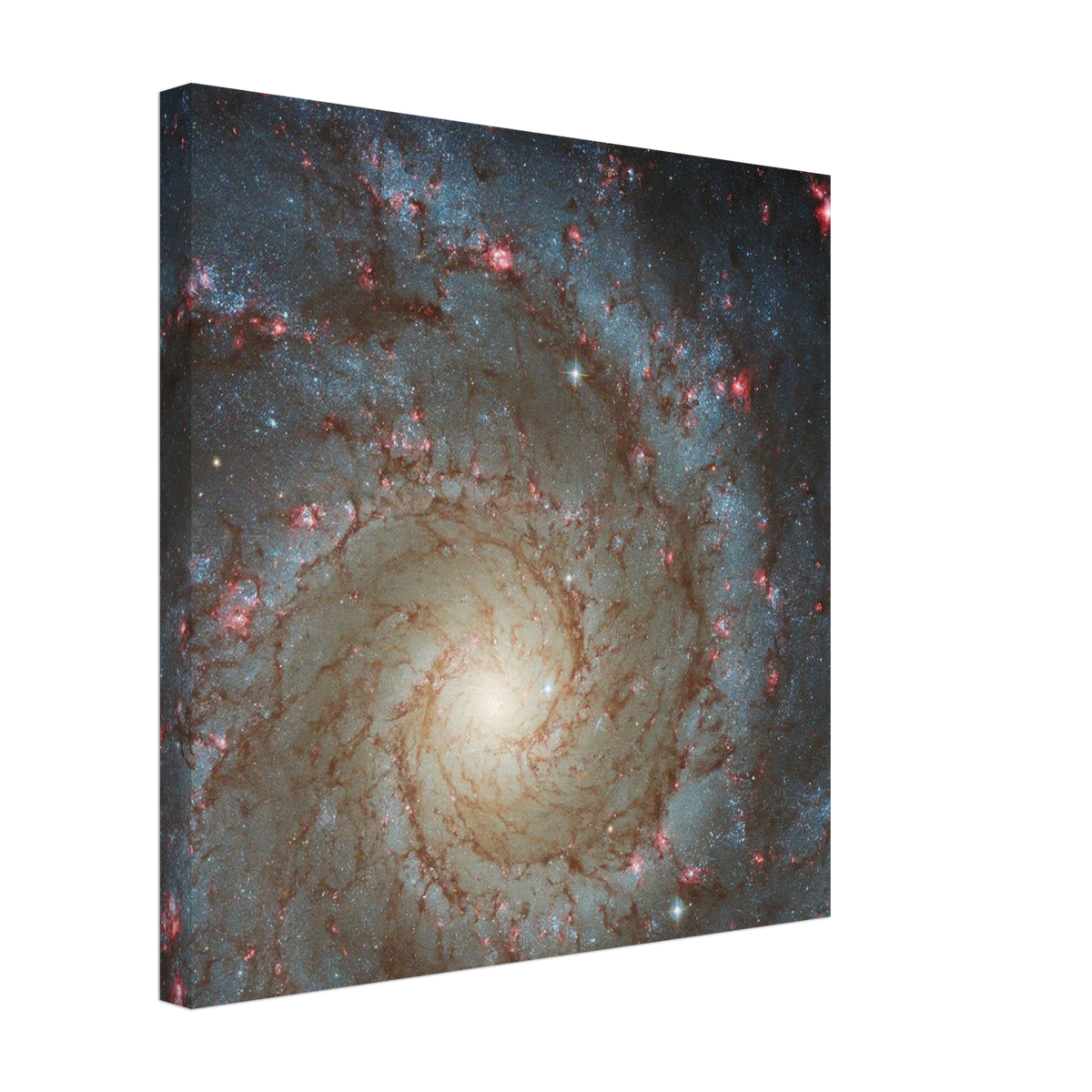 4d5e9566-eefd-4203-bb79-20899ff753e8