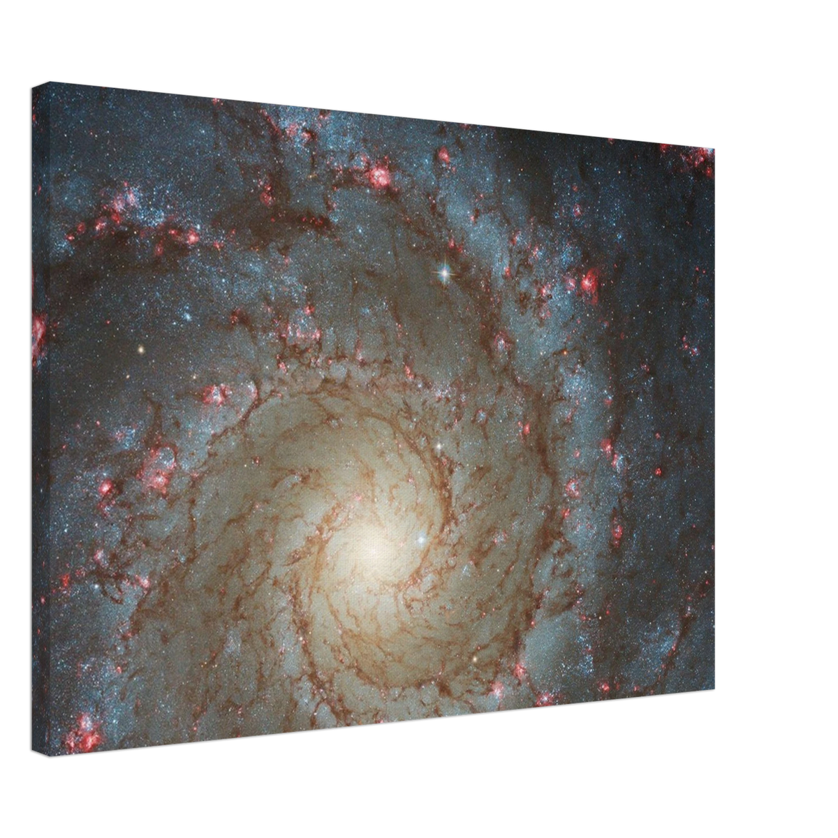 530680b8-cee4-4e09-a54a-634d61ec477a