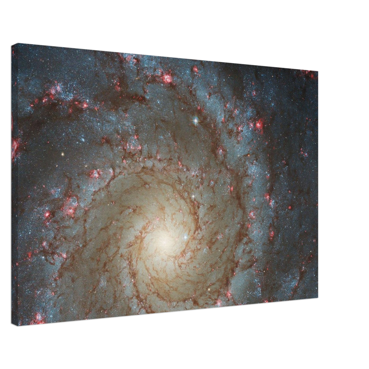 7bd0e218-630c-4137-a1a8-2273bb593511
