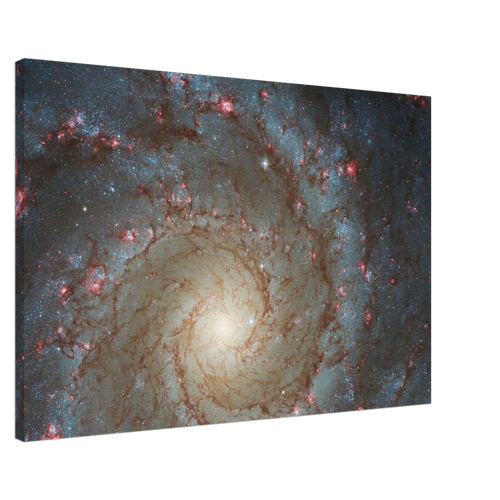 7bd0e218-630c-4137-a1a8-2273bb593511