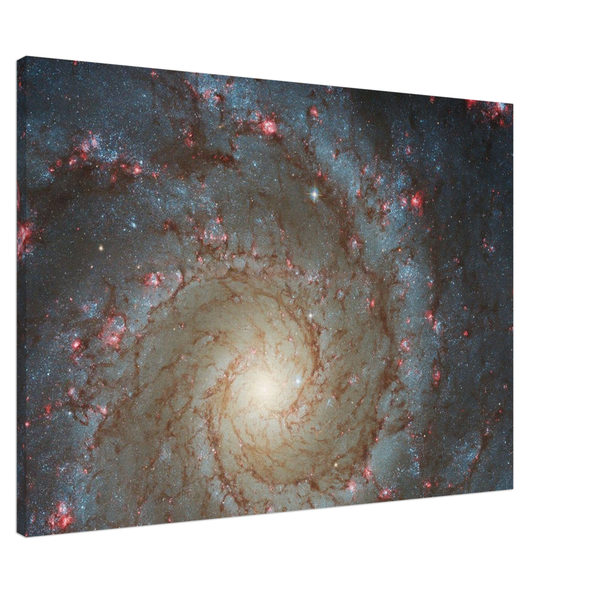 d0d9aa62-2964-4e83-9c06-9428d24d564b